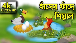 হাঁসের ফাঁদে শিয়াল | Fox in a Duck trap | Notun Bangla Golpo | Duck Cartoon | RUPKOTHAR ADDA