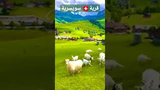 مناضر خلابة بالقرى السويسرية🇨🇭🇨🇭🇨🇭