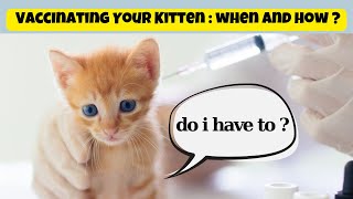 Vaccinating Your Kitten: Everything You Need To Know