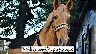 ROUTINE AVANT/APRÈS SÉANCE - poney non tondu 🐻