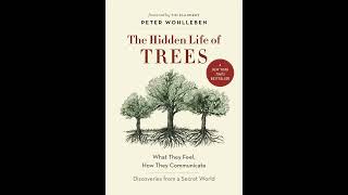 Summarized: "The Hidden Life of Trees" by Peter Wohlleben