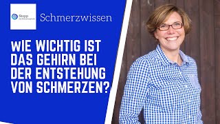 Einfluss benachbarter neuronaler Verbindungen auf die Schmerzkarte im Gehirn