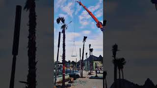 mobile crane 🏗️ LIEBBHER