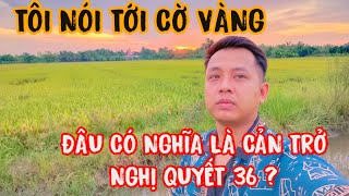 TÔI NÓI TỚI CỜ VÀNG CỰC ĐOAN  ĐÂU CÓ NGHĨA LÀ CẢN TRỞ VẤN ĐỀ VỀ NGHỊ QUYẾT 36 ĐÂU ?