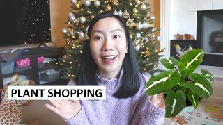 Hoyas, Syngoniums, Rare Succulents & More! Year-End Plant Shopping With Me!