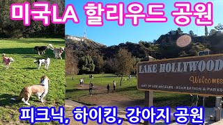 인스타그램 피크닉 핫플레이스 미국LA 할리우드 공원, 피크닉, 하이킹, 강아지 산책 Lake Hollywood Park