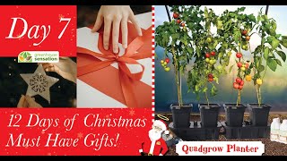 12 Days of Christmas Gifts: Day 7 - Quadgrow Planter