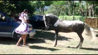 bailando llanero