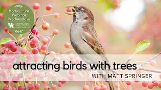 Attracting Birds with Trees