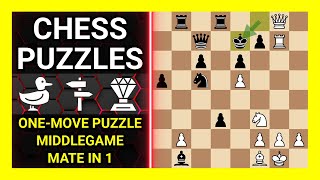 Chess Puzzles to Practice. Themes: One-move puzzle, Middlegame, Mate in 1. Learn Chess