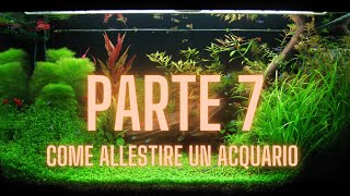 Parte 7 - Come allestire un acquario tropicale