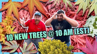 This 10@10 is HOT HOT HOT! Japanese Maples are bringing the HEAT on November 7th! w/ Tim and Corbin