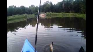 Beautiful Morning for Fishing at Cooks Pond