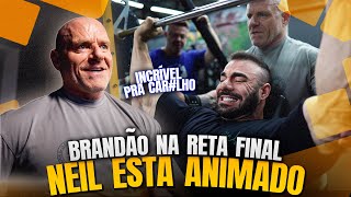 BRANDÃO ESTÁ CADA VEZ MAIS INSANO | NEIL ESTÁ ANIMADO !!!