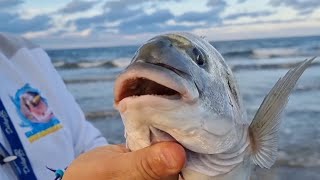 2/2 PESCA SURFCASTING EN HUELVA, doradas, pesca en el paraíso Huelva,SURFCASTING GRANADA