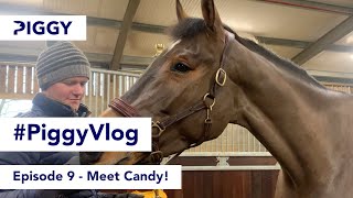 Meet Candy! | Episode 9 | #PiggyVlog 2021 | Piggy March