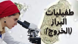 الطفيليات تحت المجهر ( الخروج - الستول) ، الجزء4 stool analysis