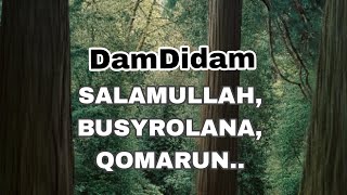 Dam Di Dam BUSYROLANA X SALAMULLAH X QOMARUN viral tiktok (lirik latin) || @asyfiyahsuardi_