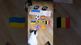 🇺🇦 Ukraine vs Belgium 🇧🇪 who will win? Cat Oracle predicts match result. UEFA Euro 2024