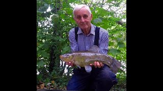 Tench Fishing session 9th August 2023