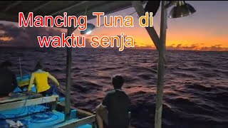 ikan tuna disini besar besar bikin ketagihan