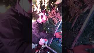 Kesariya Song New Vlog Dj Rohit 9359018090