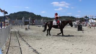 Equestrian Chaos   2nd weekend at WMRF 2024