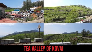 Tea Valley of Kovai | Valparai Tea estates | AK VLOGS AND TRAVELS