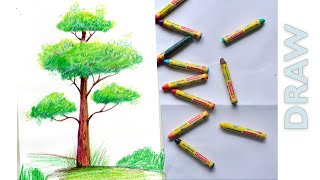 How to Draw a Tree Step by step for Beginers | Colour pencils.