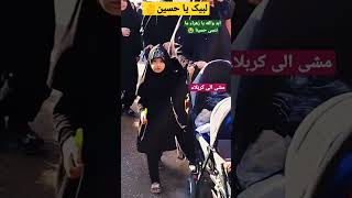 مشی الی کربلاء المقدسة|| Arbaeen walk