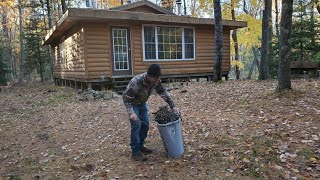 Life  At A off- Grid cabin