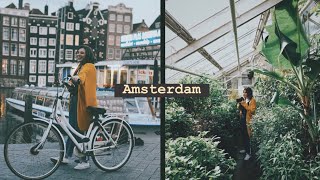 ¿Que hay que ver en Amsterdam?