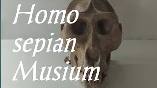 Islamabad Musium Shakar Parian #youtube #musium #capitalislamabad #letsexplore777 #video #urdu