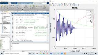 Demonstração Simulação de sinais de RMN através das equações de Bloch (Matlab) - Parte 2