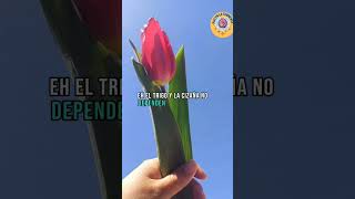 Bendito tú, oh Jehová;Enséñame tus estatutos.❤️‍🔥🙏 #shortvideo  #caminoespiritual #flores #biblia