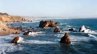 Film photography on the Sonoma coast