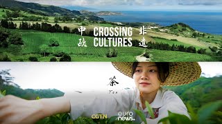 CROSSING CULTURES S2 EP1: China’s gift to the world - the perfect cup of tea