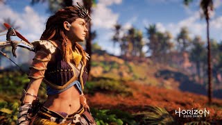 Horizon Zero Dawn Complete Edition PC GTX 1060 3gb i5 3470