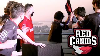 RED CANIDS CAMPEÃO DO CBLOL 2021