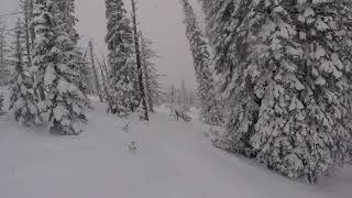 Brundage Powder Day, Bee Line,  Feb 26, 2017