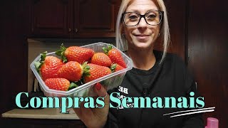 Compras para a nossa Semana ( Reposição de muitas Coisas ) Quanto Gastei ? | Nova Fruta