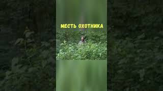 Месть Охотника | Приколы Охота Рыбалка Туризм | Тик Ток #Shorts