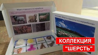 Коллекция "ШЕРСТЬ И ПРОДУКТЫ ЕГО ПЕРЕРАБОТКИ"