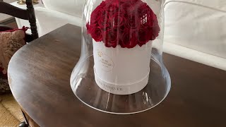 Christmas Gift 🎁 & Decoration 🎄 Rose Forever Red Preserved Roses