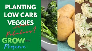 Planting Low Carb Vegetables || Nicola Potatoes, Broccoli, Cauliflower, Brussels and Cabbage