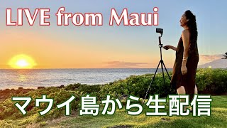 【マウイ島の今】世界のセレブが集う高級リゾート「ワイレア」からサンセットお散歩ライブ！ LIVE from Wailea Maui