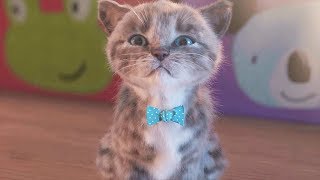 Fun Pet Kitten Kids Game - Little Kitten Preschool My Favorite Cat - Play Animation Games For Kids