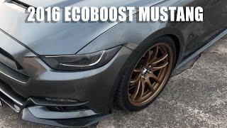 Becky's 2016  Ecoboost Mustang