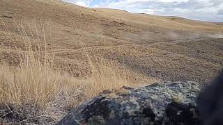 Honda Talon 1000R suspension through big whoops/ rollers