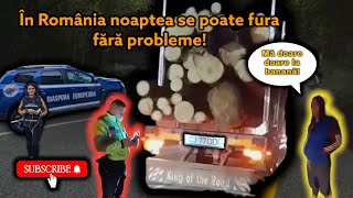 Mafia Lemnului! | Noaptea se fura cel mai usor! | ISCTR nu are program dupa ora 16! | Video 53